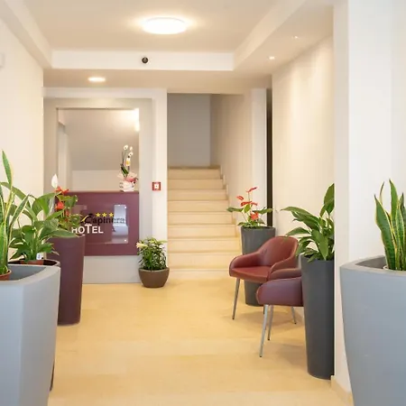 Capinera קאורלה